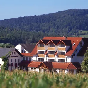 hotel-restaurant-frankischer-hof-altenkunstadt.com-bavaria.com/